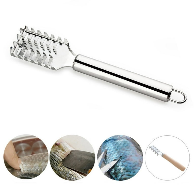 Fish Scaler Brush