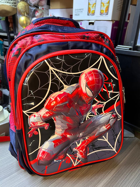 Heavy capacity school bag