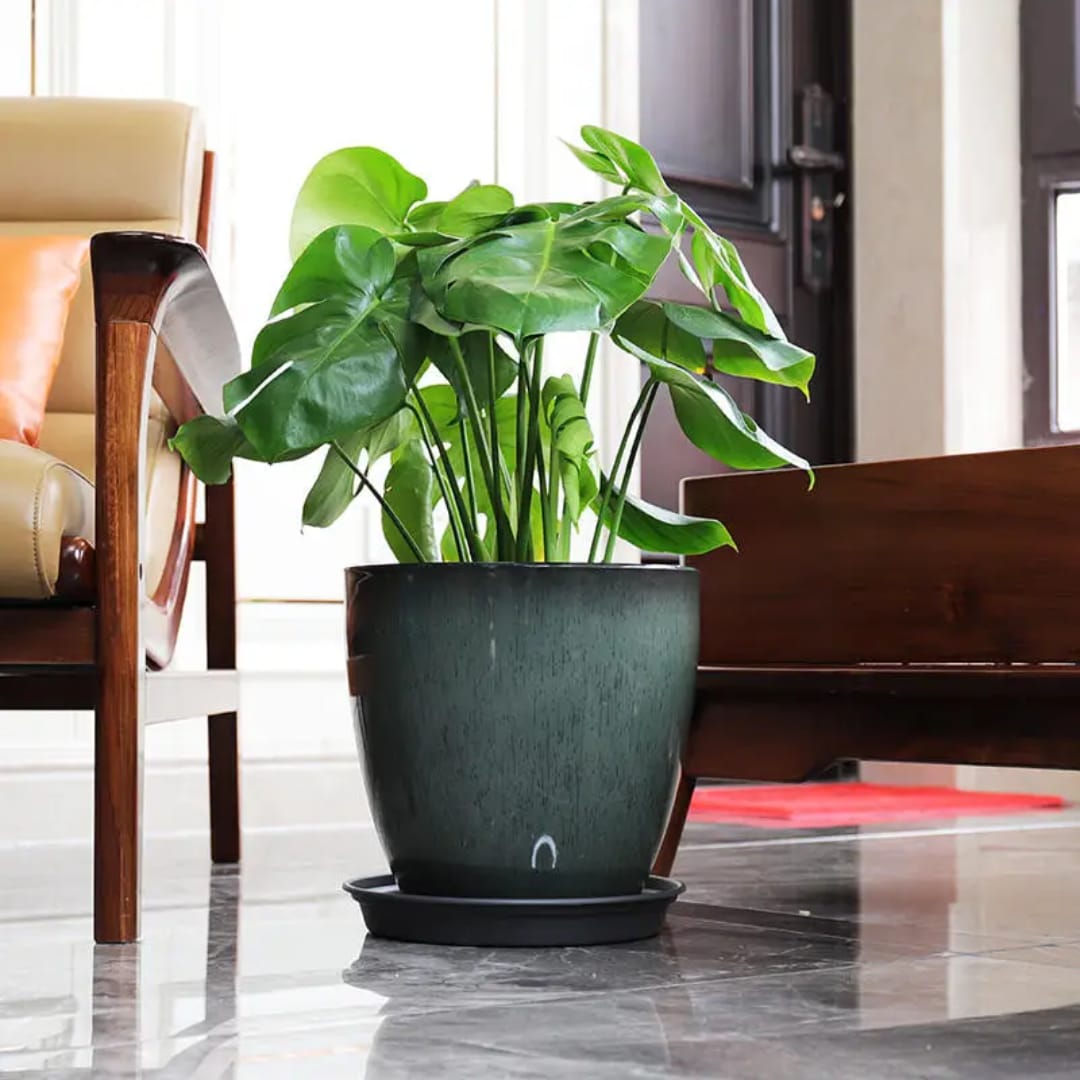 Planters