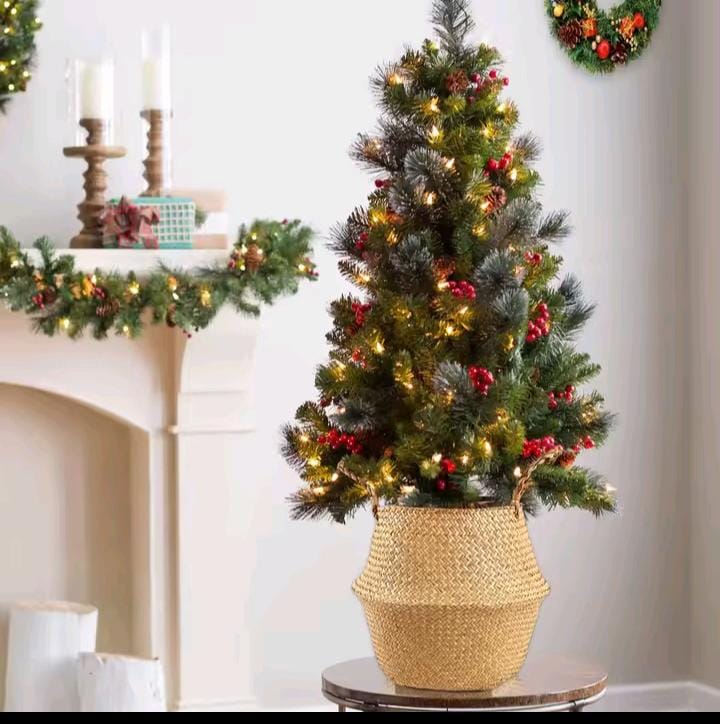 Firm Rattan Handmade baskets for decoration