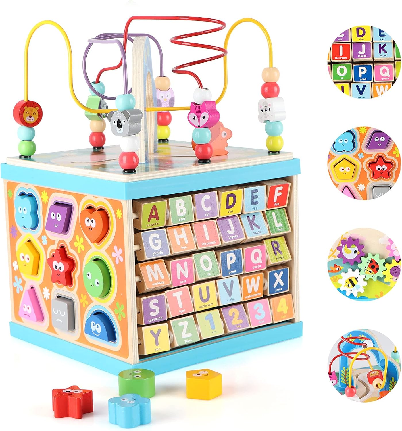 Educational Activity Cube