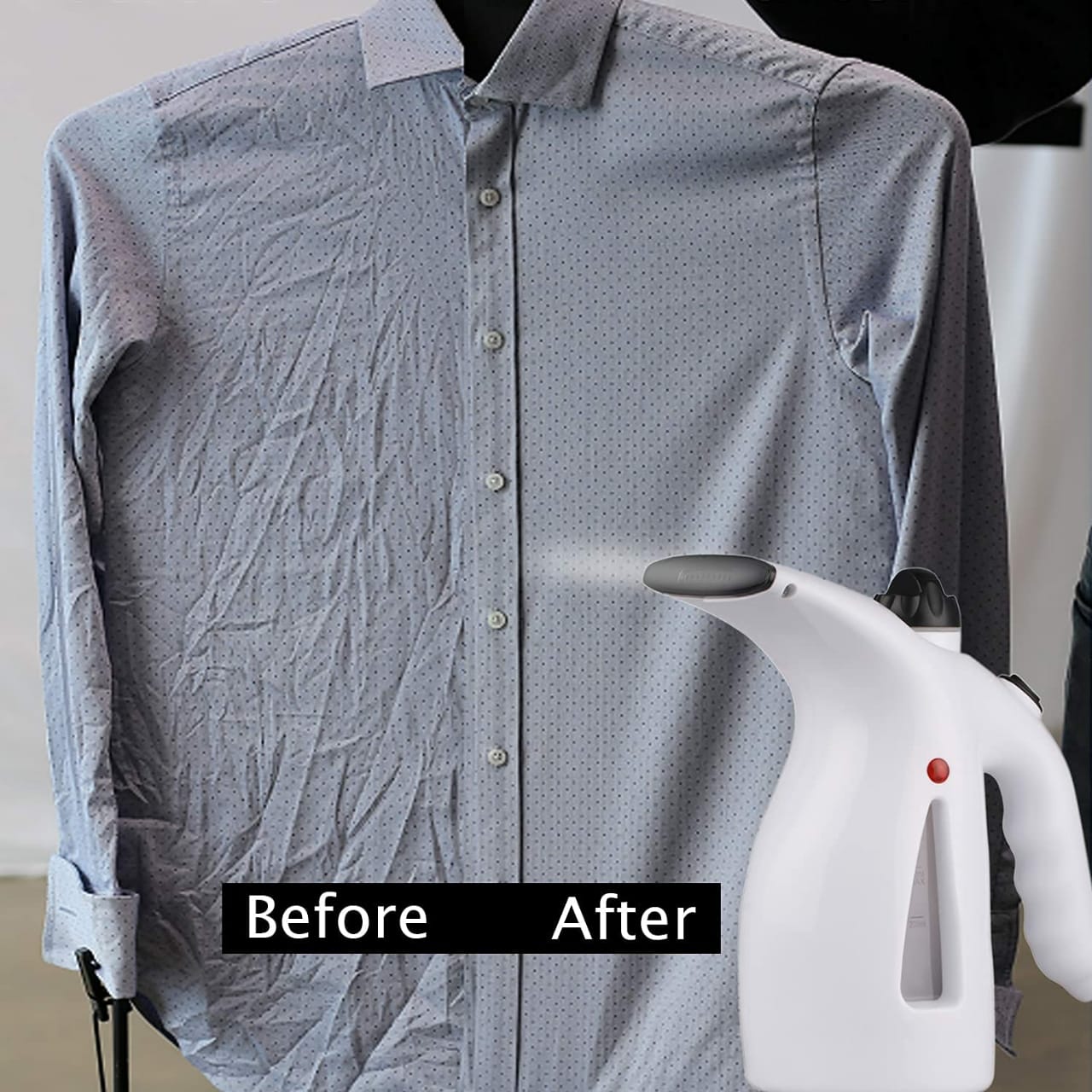 Portable Steamer